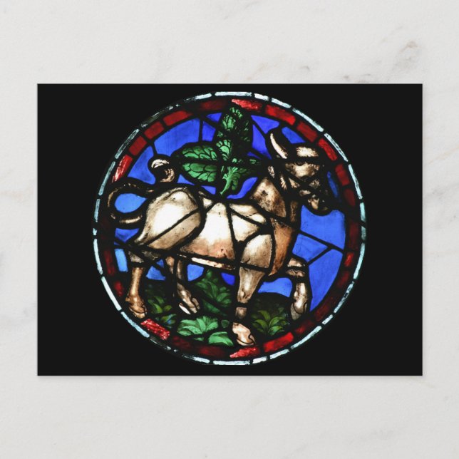 Oxen Zodiaken Glasfärgning Notre-Dame de Paris P Vykort (Framsida)