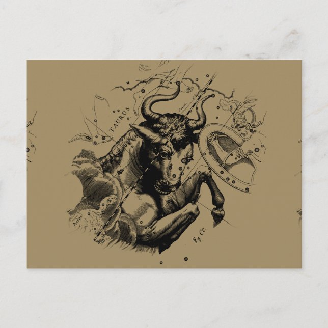 Oxens stjärnbildskarta Hevelius 1690 Vykort (Framsida)