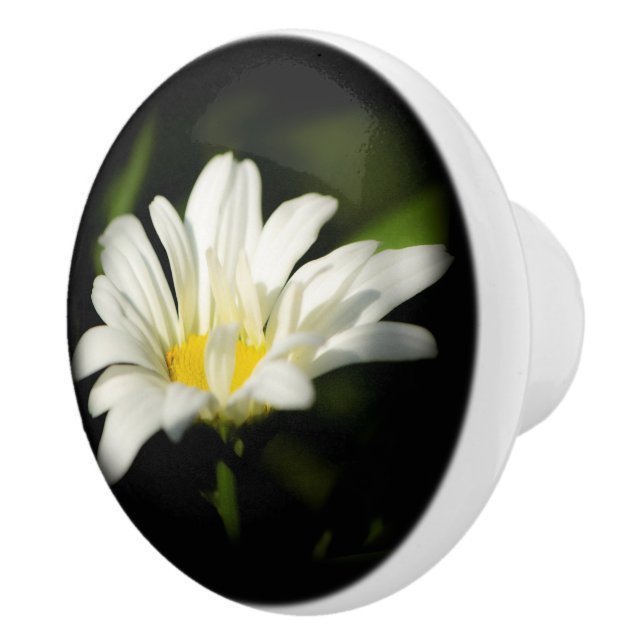 Oxeye Daisy Ceramisk pull Knopp (Höger)