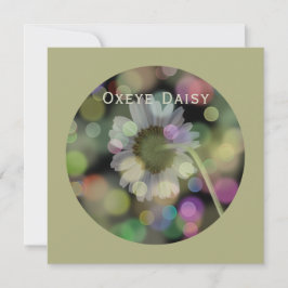 Oxeye Daisy Flower på Grått Olive Julkort