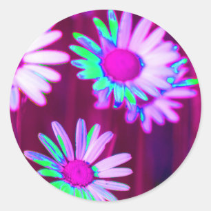 Oxeye Daisy Meadow Pop Art Stil Runt Klistermärke