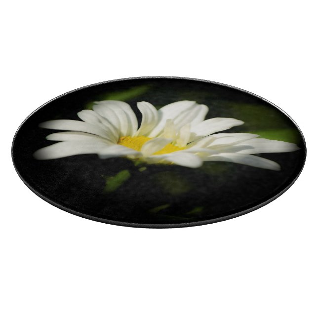 Oxeye-Daisy Rund glasspets (Hörn)