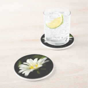 Oxeye Daisy Sandstone Underlägg