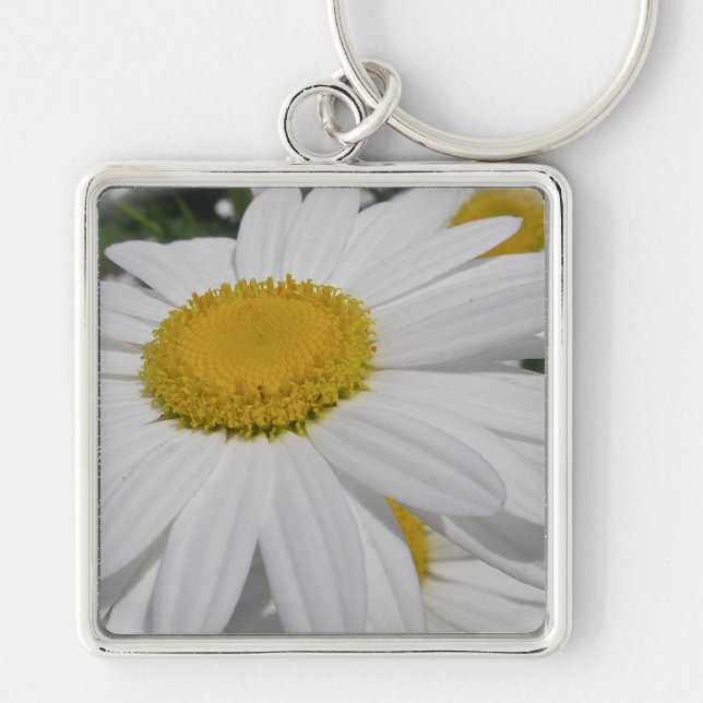 Oxeye Daisy Wildblomma-Blommigtar Fyrkantig Silverfärgad Nyckelring (Framsidan)