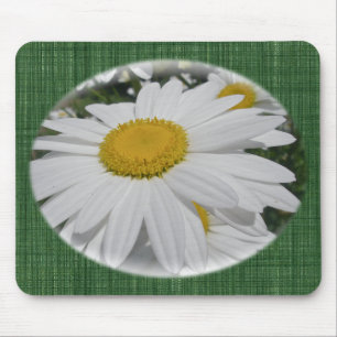 Oxeye Daisy Wildblomma-Blommigtar Musmatta