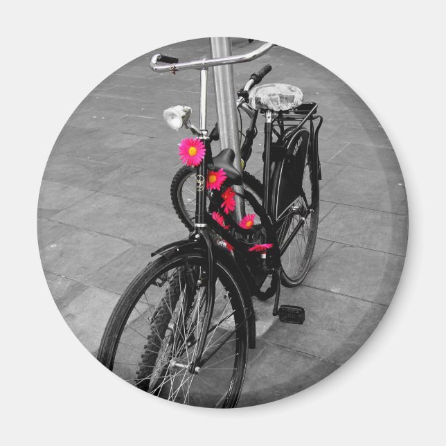 Oxford Cycle Magnet (Framsidan)