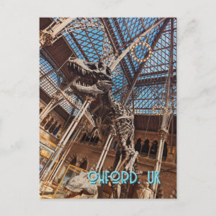 Oxford Natural History Museum Postcard T-Rex Dinos Vykort