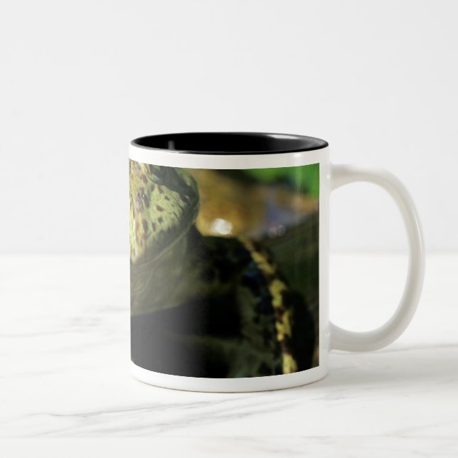 Oxgroda. Två-Tonad Mugg (Höger)