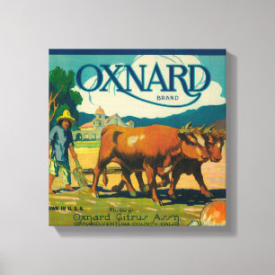 Oxnard orange LabelOxnard, CA Canvastryck