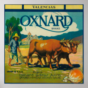Oxnard orange LabelOxnard, CA Poster