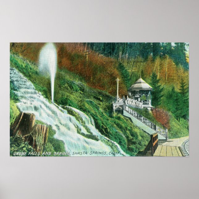 Oxone Falls och Vår ViewShasta Vår, CA Poster (Framsidan)