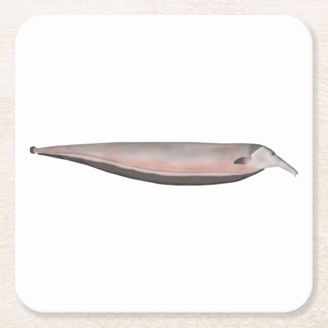 Oxyrhynchus Tube snouted Ghost Knifefish Underlägg Papper Kvadrat (Framsidan)