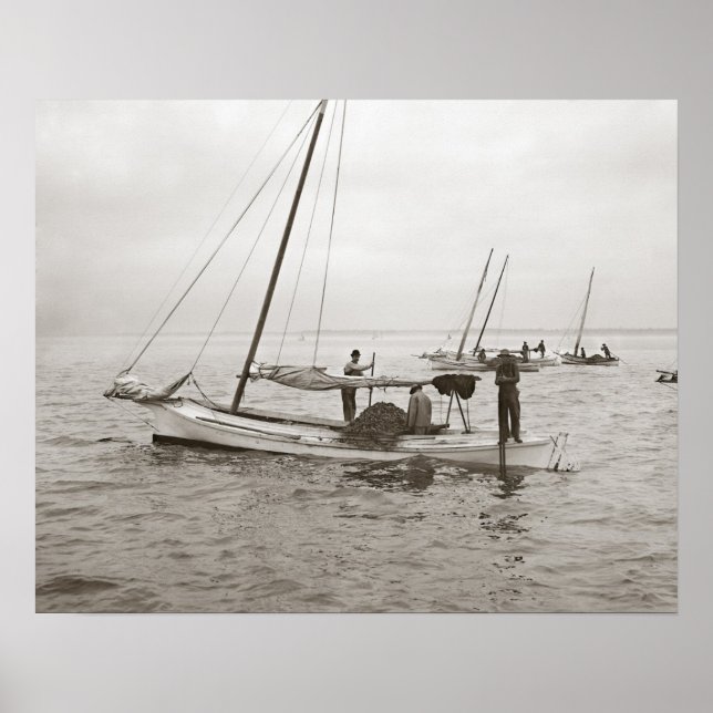 Oyster Boats 1903. Vintage Photo Poster (Framsidan)