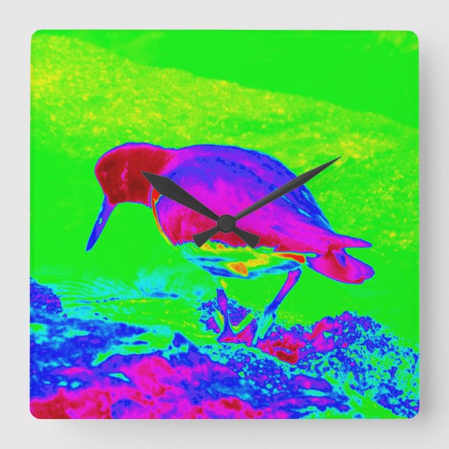 Oyster Catcher Fyrkantig Klocka (Framsida)