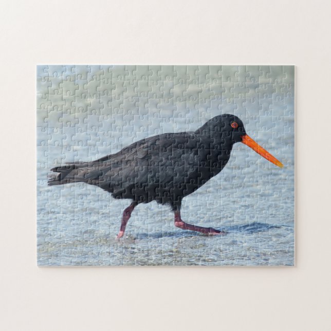 OYSTERCATCHER 11 x 14 TUM Pussel (Horisontell)