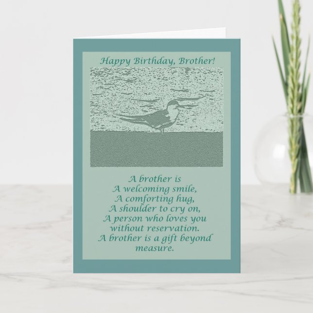 Oystercatcher Brother Birthday Card Kort (Framsida)