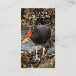 Oystercatcher Fågelskådning/naturskötare Visitkort