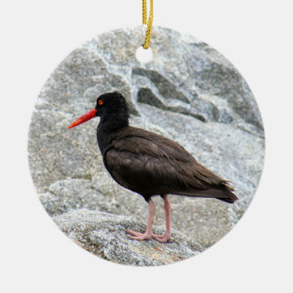 Oystercatcher Julgransprydnad Keramik
