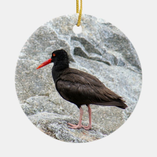 Oystercatcher Julgransprydnad Keramik (Framsidan)