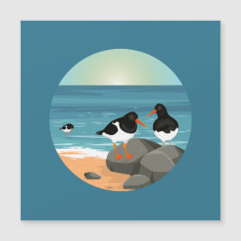 Oystercatcher vid kusten