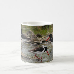 Oystercatchers Mugg