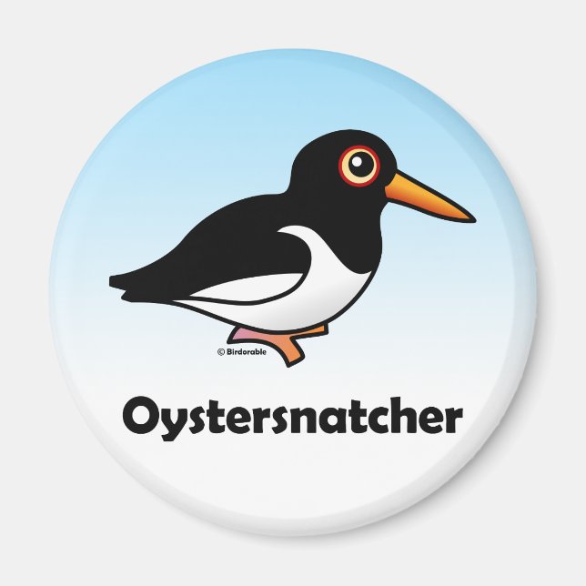 Oystersnatcher Magnet (Framsidan)