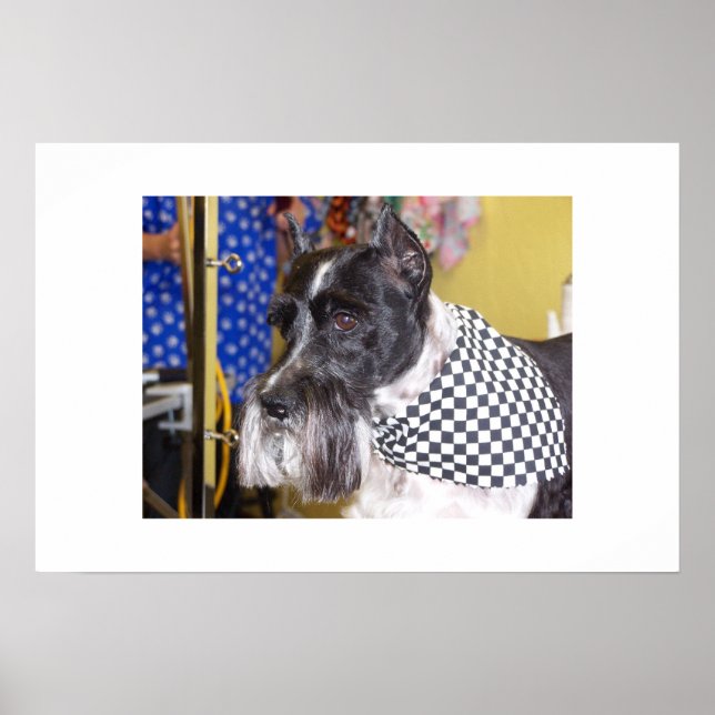 Oz Poster (Framsidan)