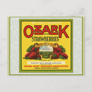 Ozark Strawbär Vykort