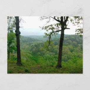 Ozark-vy Vykort