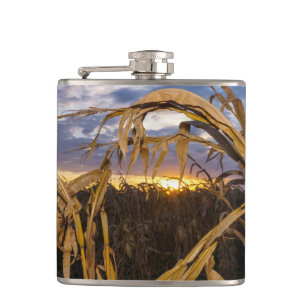 Ozarks Harvest Fickplunta