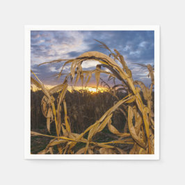 Ozarks Harvest Pappersservett