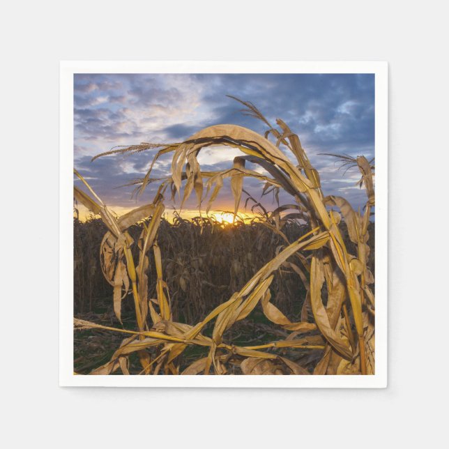 Ozarks Harvest Pappersservett (Framsidan)