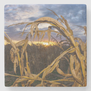 Ozarks Harvest Stenunderlägg