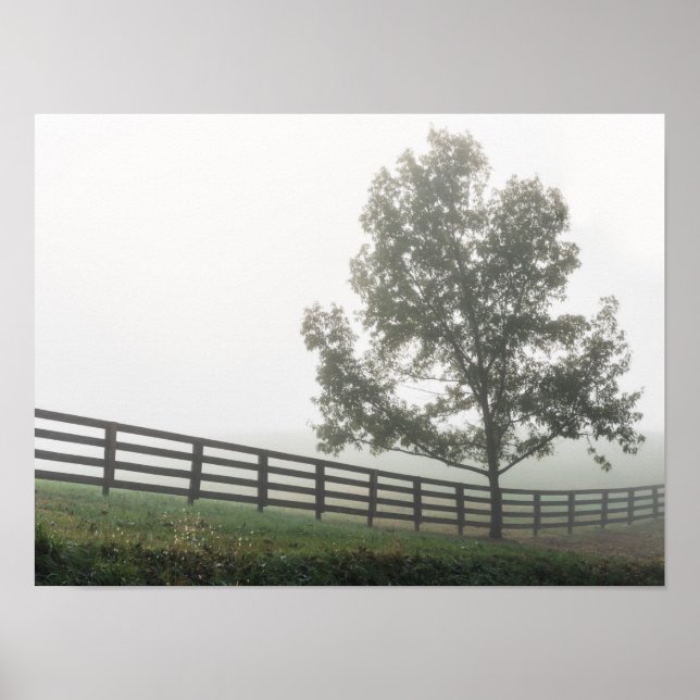 Ozarks Land Fog Poster (Framsidan)