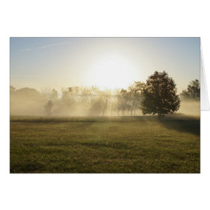 Ozarks MorgFog OBS Kort