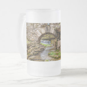 Ozarks Waterfall under Bridge Frostat Ölglas