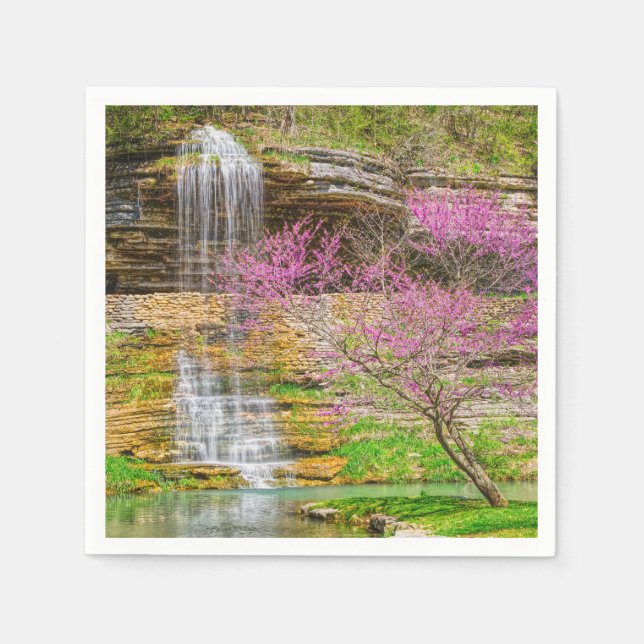 Ozarks Waterfall Vår Bluff Pappersservett (Framsidan)