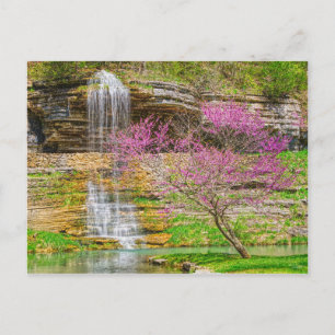 Ozarks Waterfall Vår Bluff Vykort