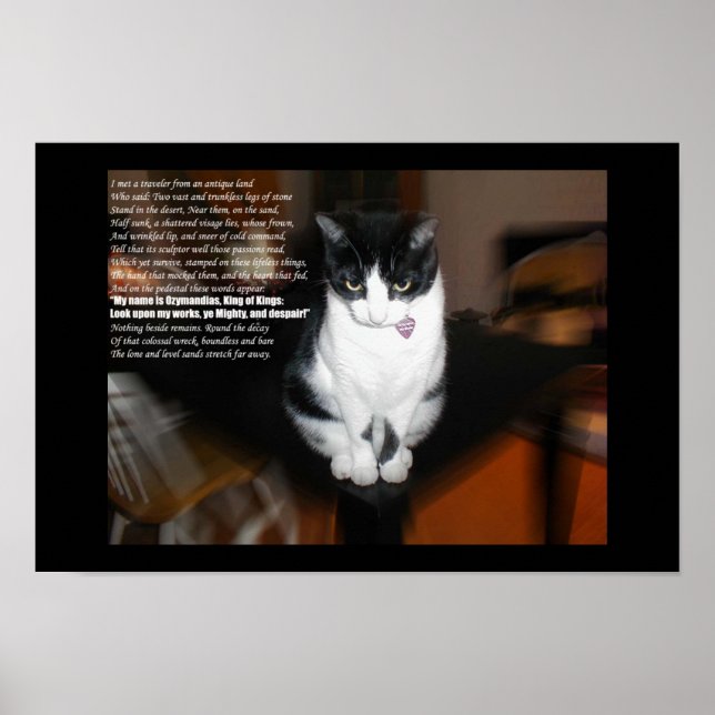 ozymandias poster (Framsidan)