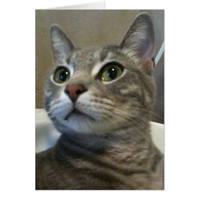 Ozzy Card 1 OBS Kort (Framsidan)