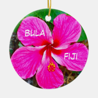 P0000104_lzn bula, fiji julgransprydnad keramik
