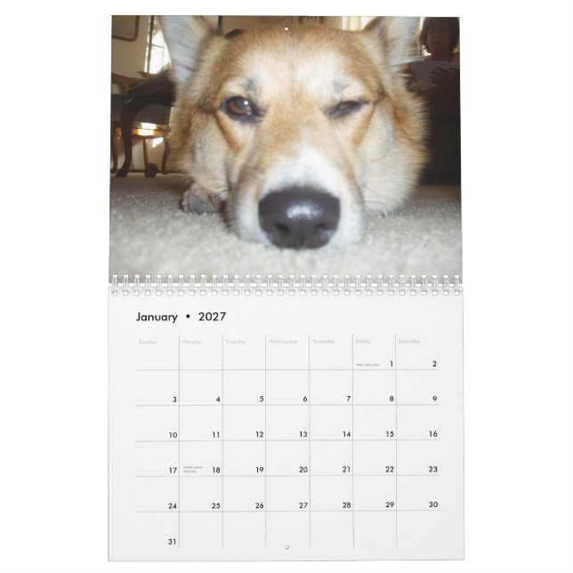 P1010036 Corgikärlekkalender Kalender (Jan 2027)