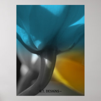 P1016531-1, G.T. DESIGNS~En grupp av orkidvyer Poster