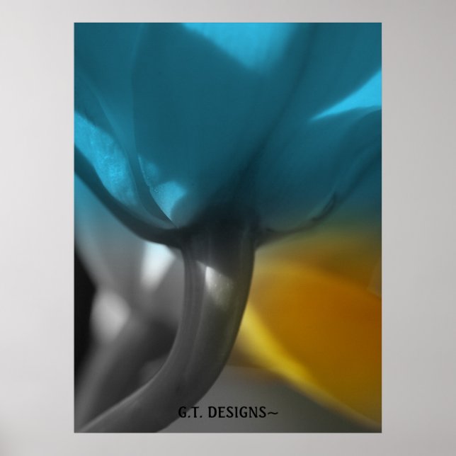 P1016531-1, G.T. DESIGNS~En grupp av orkidvyer Poster (Framsidan)