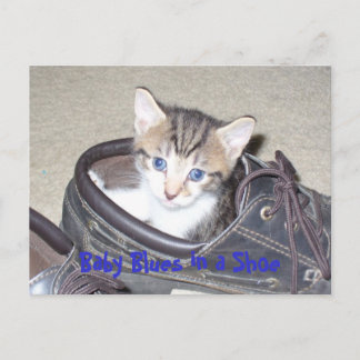 P1020640_153_153, Baby Blues in a Shoe Vykort