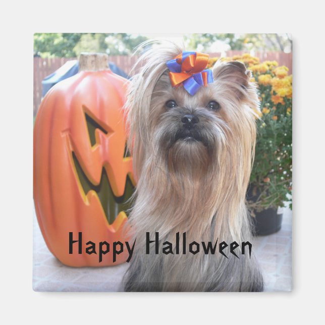 P1080884, Happy halloween Magnet (Framsidan)