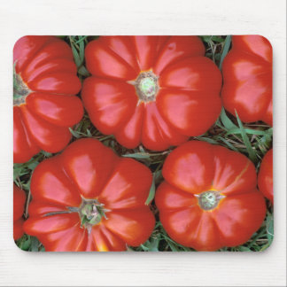 P1950B_Italian-tomatoes-Edit-Edit_Zazzle Musmatta