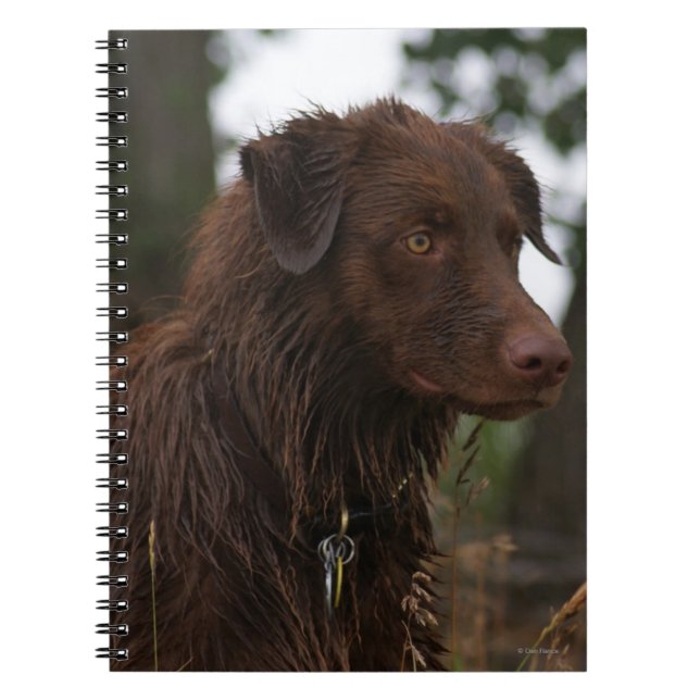 P1 Flatlandersam Blöt Hund Anteckningsbok (Framsidan)