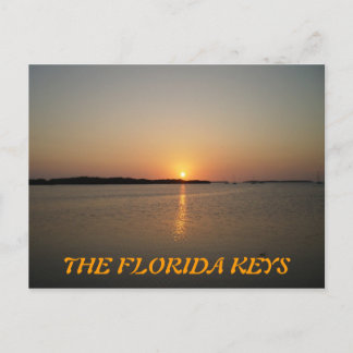 P3310019, FLORIDA NYCKLAR VYKORT