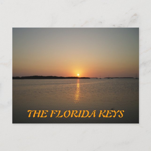 P3310019, FLORIDA NYCKLAR VYKORT (Framsida)